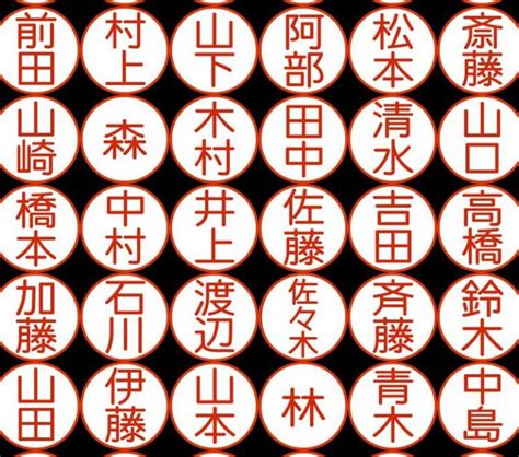 雁 名字|「雁」という名字（苗字）の読み方は？レア度や由来。